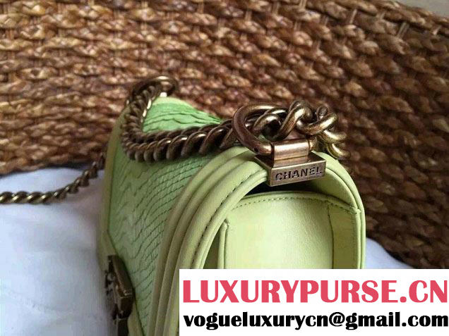 Chanel Le Boy Flap Small Bag in Python Leather 2015