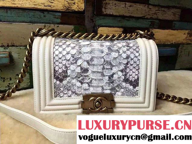 Chanel Le Boy Flap Small Bag in Python Leather 2015