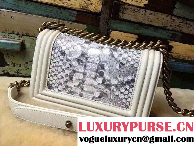 Chanel Le Boy Flap Small Bag in Python Leather 2015