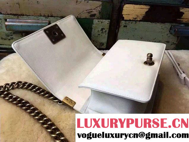 Chanel Le Boy Flap Small Bag in Python Leather 2015