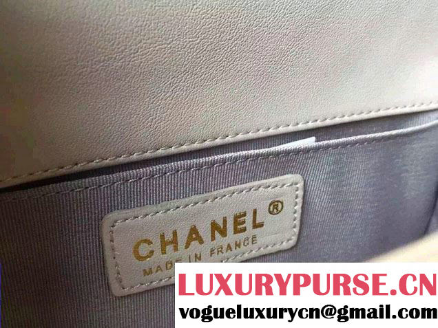 Chanel Le Boy Flap Small Bag in Python Leather 2015