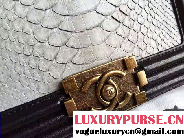 Chanel Le Boy Flap Small Bag in Python Leather 2015