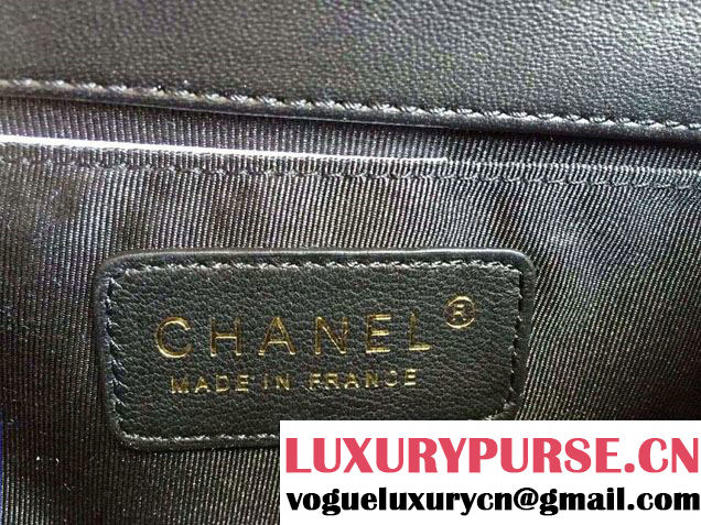 Chanel Le Boy Flap Small Bag in Python Leather 2015
