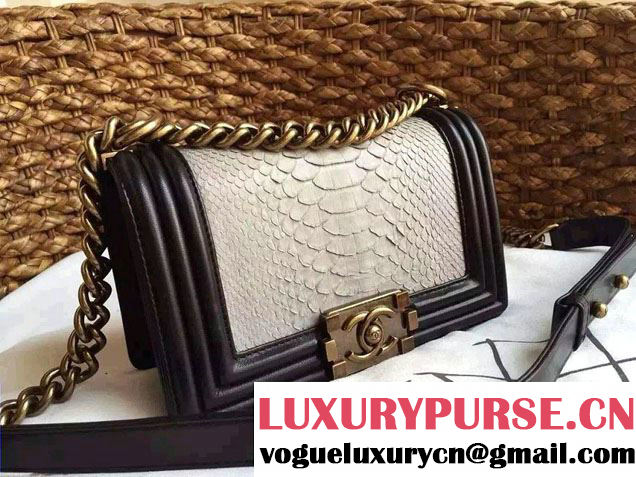 Chanel Le Boy Flap Small Bag in Python Leather 2015