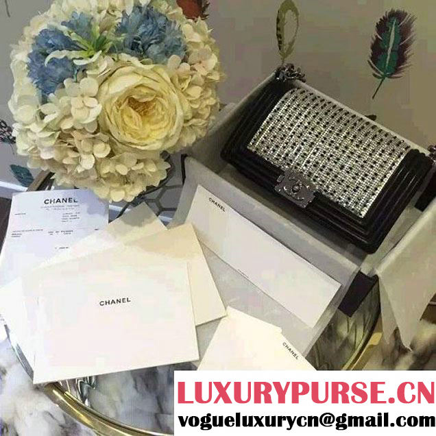 Chanel Crystal Boy Flap Bag Fall Winter 2015/2016