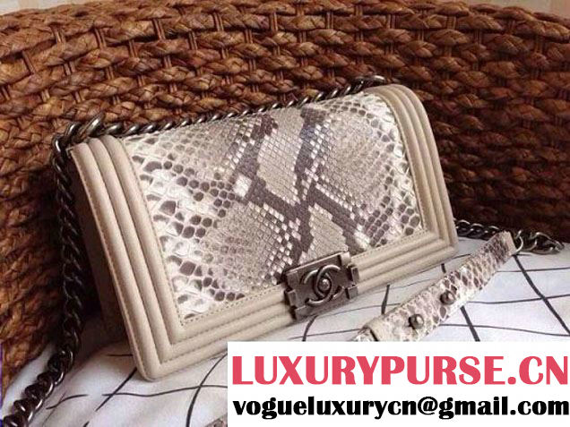 Chanel Le Boy Flap Bag in Python Leather 35