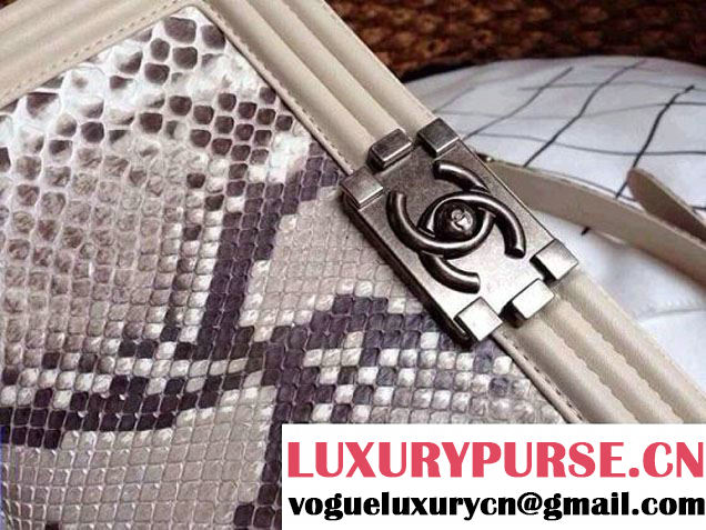 Chanel Le Boy Flap Bag in Python Leather 35