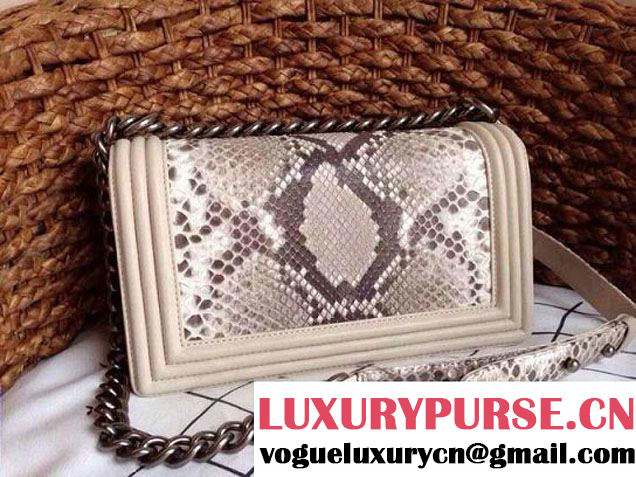 Chanel Le Boy Flap Bag in Python Leather 35
