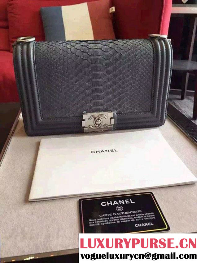Chanel Shine Hardware Python Boy Flap Medium Bag Gray/Silver 2016