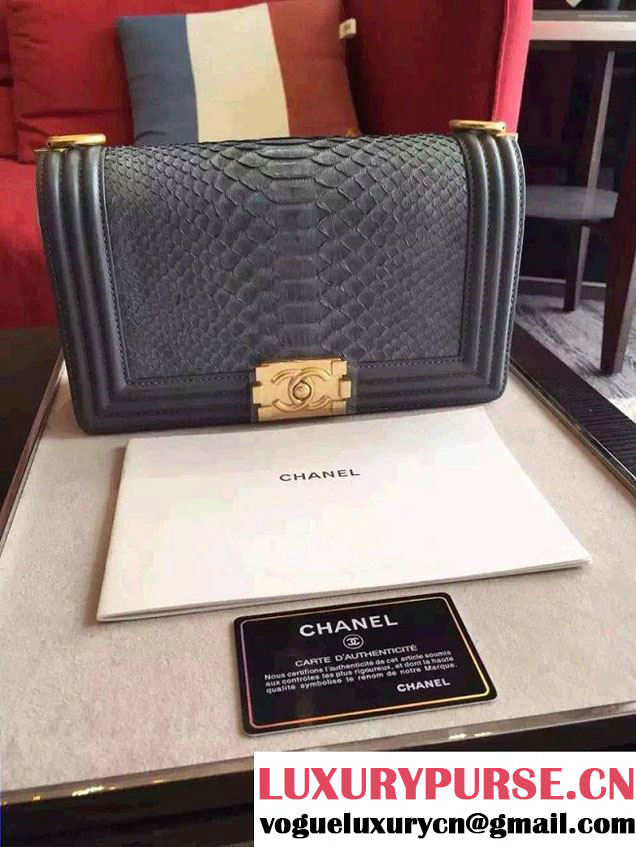 Chanel Shine Hardware Python Boy Flap Medium Bag Gray/Gold 2016