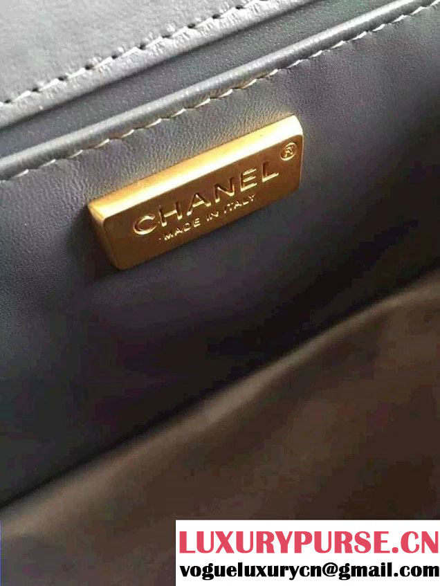 Chanel Shine Hardware Python Boy Flap Medium Bag Gray/Gold 2016