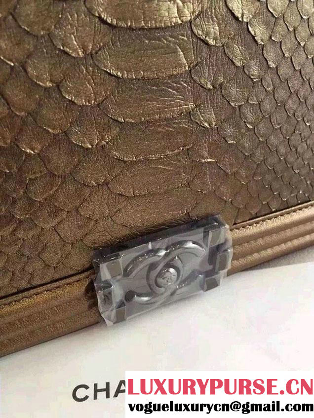 Chanel Shine Hardware Python Boy Flap Medium Bag Bronze/Silver 2016
