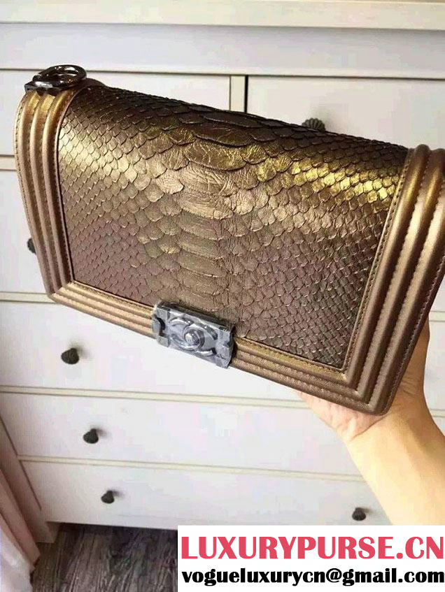 Chanel Shine Hardware Python Boy Flap Medium Bag Bronze/Silver 2016