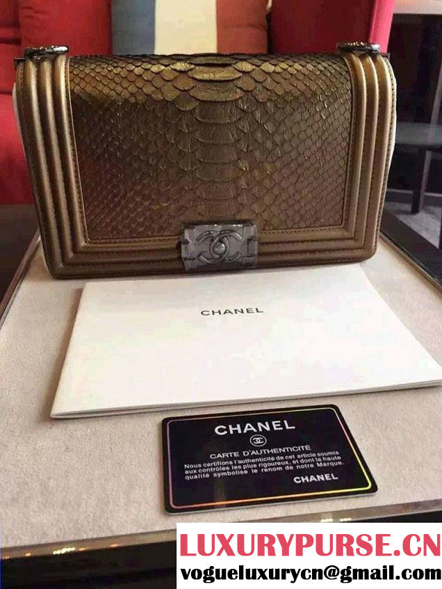 Chanel Shine Hardware Python Boy Flap Medium Bag Bronze/Silver 2016
