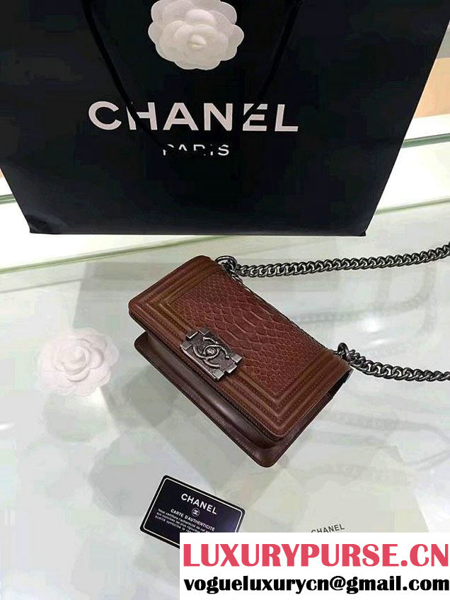 Chanel Python Boy Flap Small/Medium Bag Coffee 2016