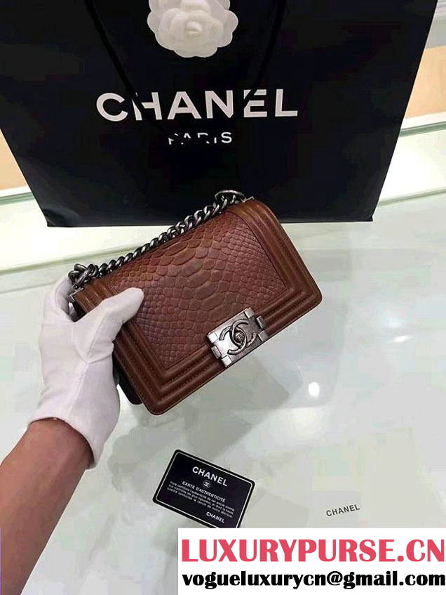 Chanel Python Boy Flap Small/Medium Bag Coffee 2016
