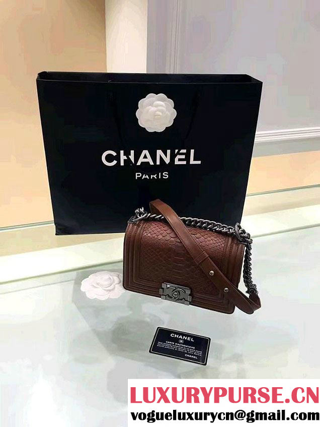 Chanel Python Boy Flap Small/Medium Bag Coffee 2016