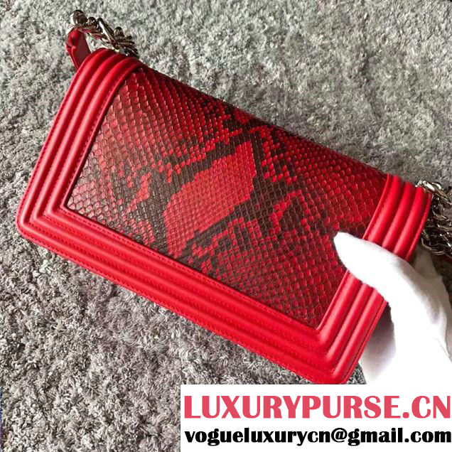 Chanel Python Chain Top Handle Boy Flap Medium/Small Bag 2017