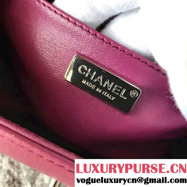 Chanel Python Chain Top Handle Boy Flap Medium/Small Bag 2017