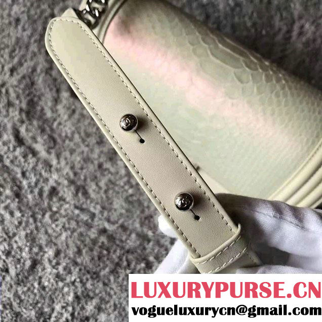 Chanel Python Chain Top Handle Boy Flap Medium/Small Bag 2017