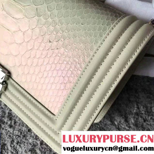 Chanel Python Chain Top Handle Boy Flap Medium/Small Bag 2017