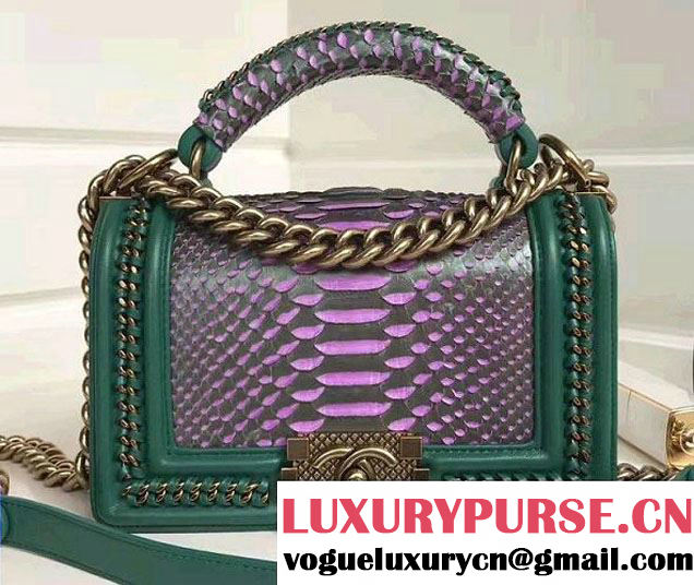 Chanel Python Chain Top Handle Boy Flap Small Bag 2017