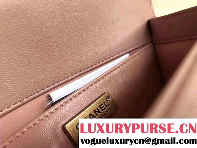 Chanel Python Chain Top Handle Boy Flap Small Bag 2017