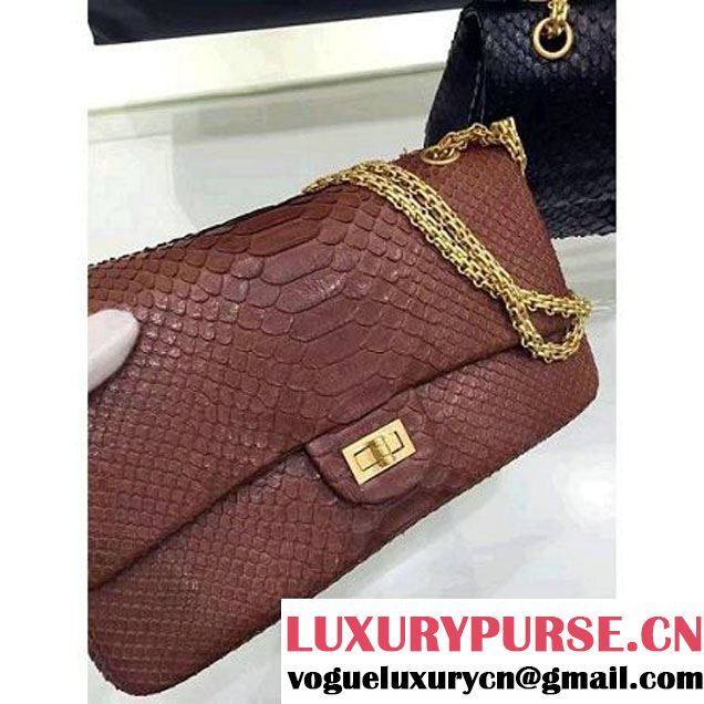 Chanel Python Leather 2.55 Flap Bag Size 226 Brown 2016 (1A001-6112918 )