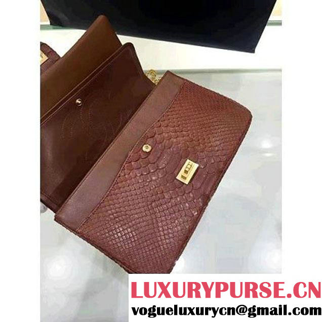 Chanel Python Leather 2.55 Flap Bag Size 226 Brown 2016 (1A001-6112918 )