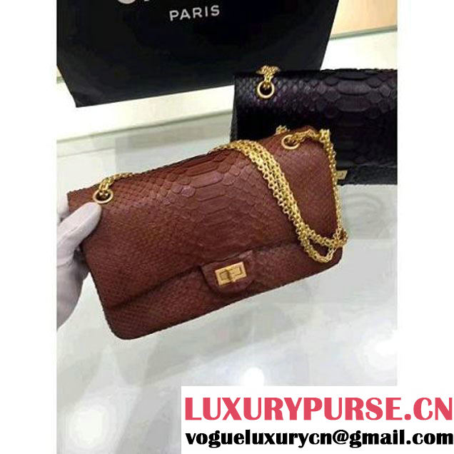 Chanel Python Leather 2.55 Flap Bag Size 226 Brown 2016 (1A001-6112918 )