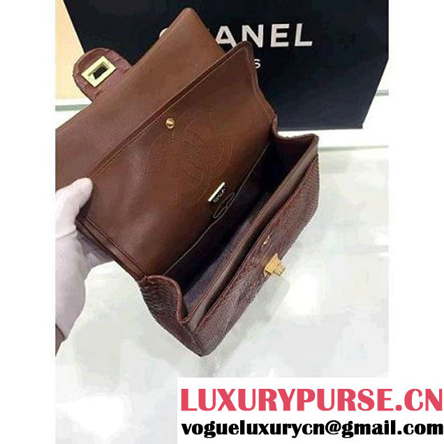 Chanel Python Leather 2.55 Flap Bag Size 226 Brown 2016 (1A001-6112918 )