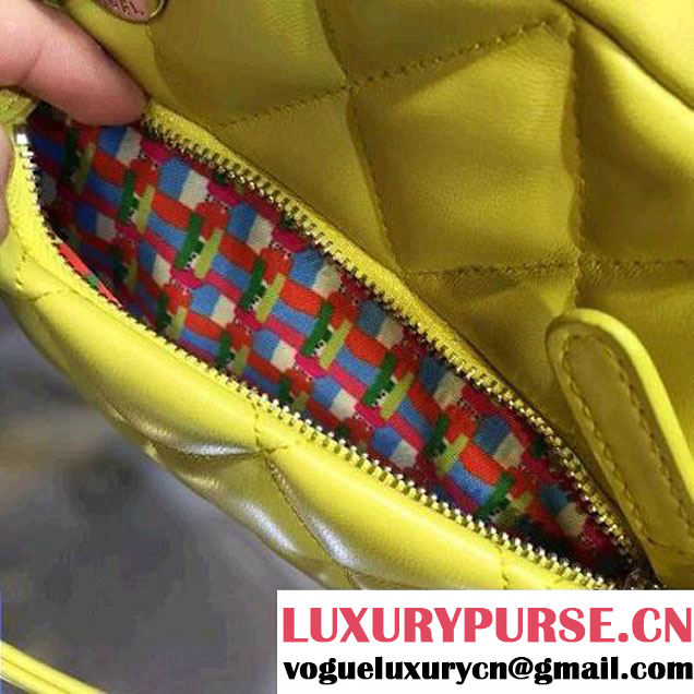 Chanel Rubber Camera Case With A Removable Raincoat Cruise 2016 (2A143-121802 )