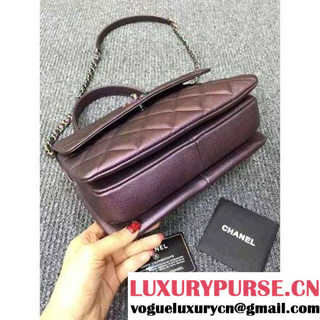 Chanel Purple Calfskin Flap Bag Embellished With Chain Metallic Plate and Iridescent Hardware 2016 (DD-6011336 )