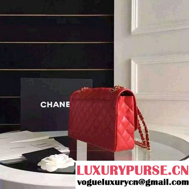 Chanel Medium Calfskin Flap Bag Red Cruise 2016 (FTH-6031412 )