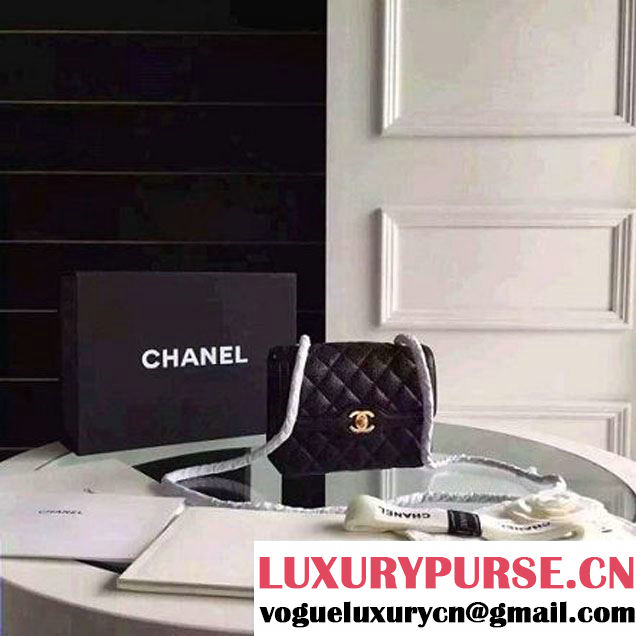 Chanel Small Carviar Calfskin Flap Bag Black Cruise 2016 (FTH-6031415 )