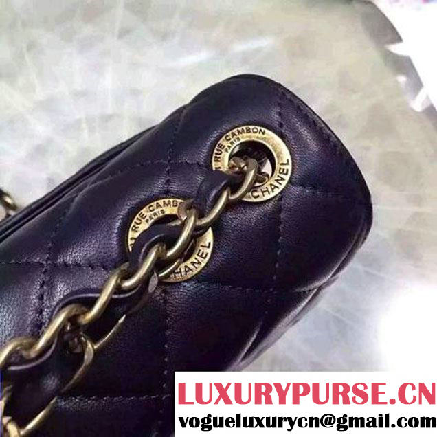 Chanel Sheepskin & Resin Flap Bag Pre S/S 2016 (2A057-6032505 )