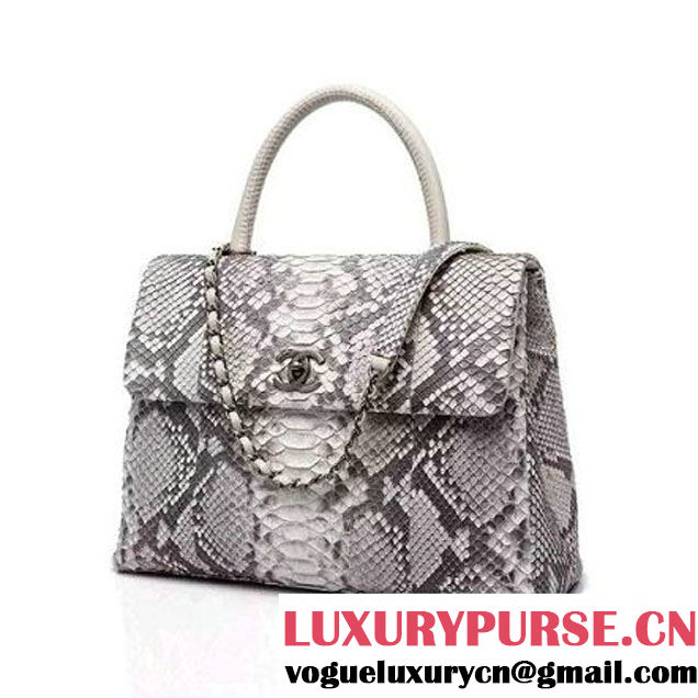 Chanel A93279 Python and Lambskin Flap Bag With Handle Grey/White Pre-SS 2016 (XY-6041232 )
