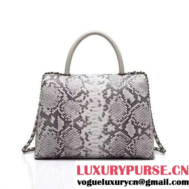 Chanel A93279 Python and Lambskin Flap Bag With Handle Grey/White Pre-SS 2016 (XY-6041232 )