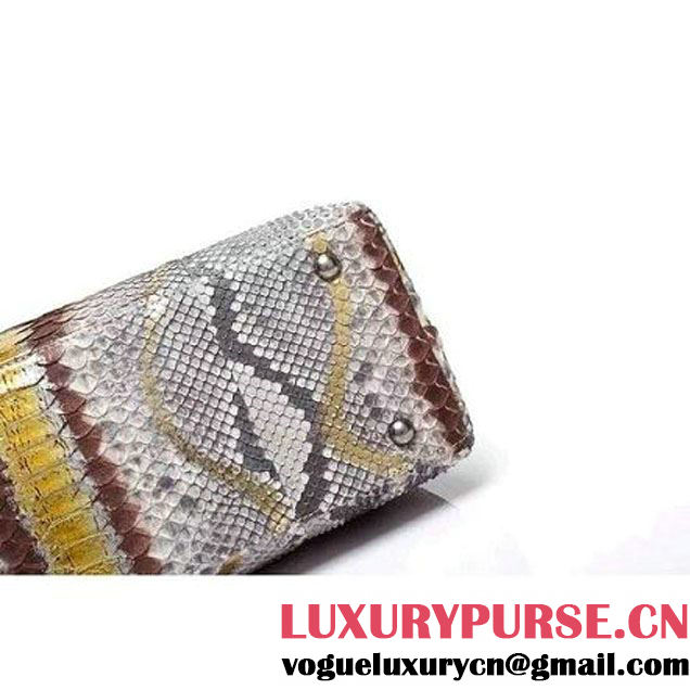 Chanel A93279 Python and Lambskin Flap Bag With Handle Grey/Gold Pre-SS 2016 (XY-6041233 )