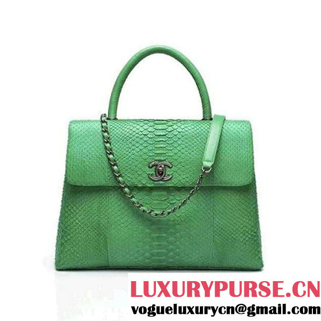 Chanel A93279 Python and Lambskin Flap Bag With Handle Green Pre-SS 2016 (XY-6041235 )