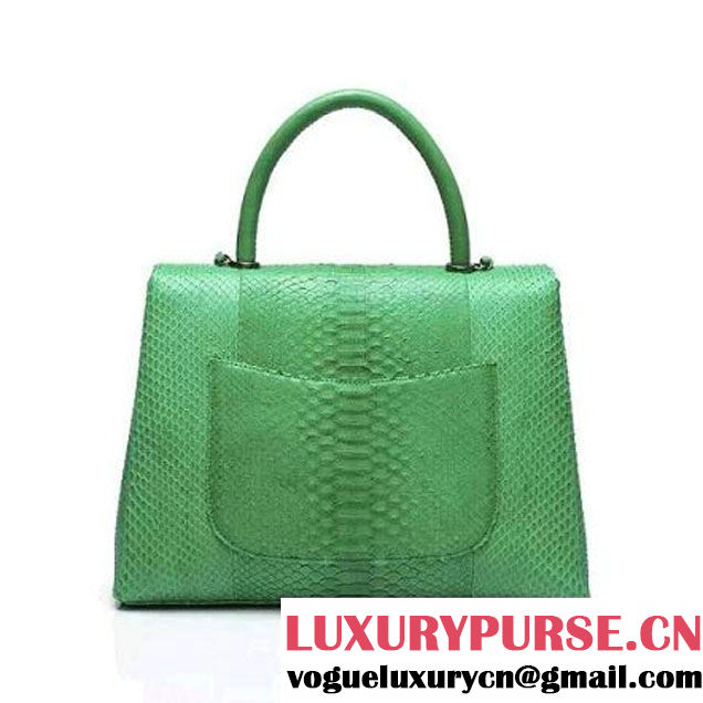 Chanel A93279 Python and Lambskin Flap Bag With Handle Green Pre-SS 2016 (XY-6041235 )