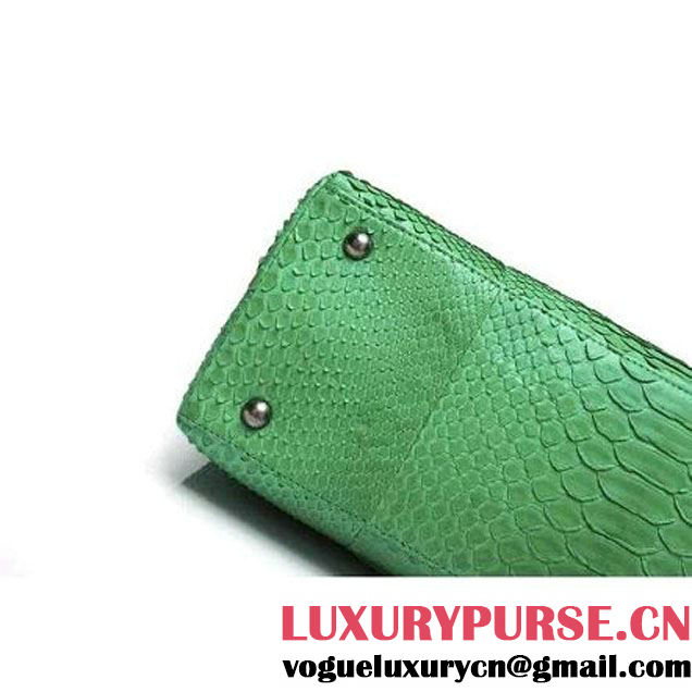 Chanel A93279 Python and Lambskin Flap Bag With Handle Green Pre-SS 2016 (XY-6041235 )