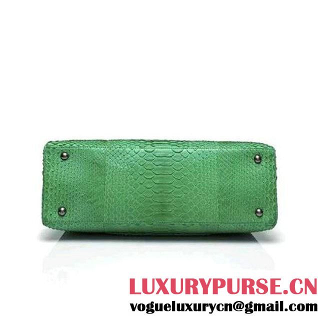 Chanel A93279 Python and Lambskin Flap Bag With Handle Green Pre-SS 2016 (XY-6041235 )
