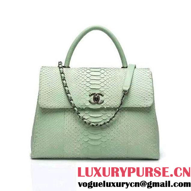 Chanel A93279 Python and Lambskin Flap Bag With Handle Light Green Pre-SS 2016 (XY-6041236 )