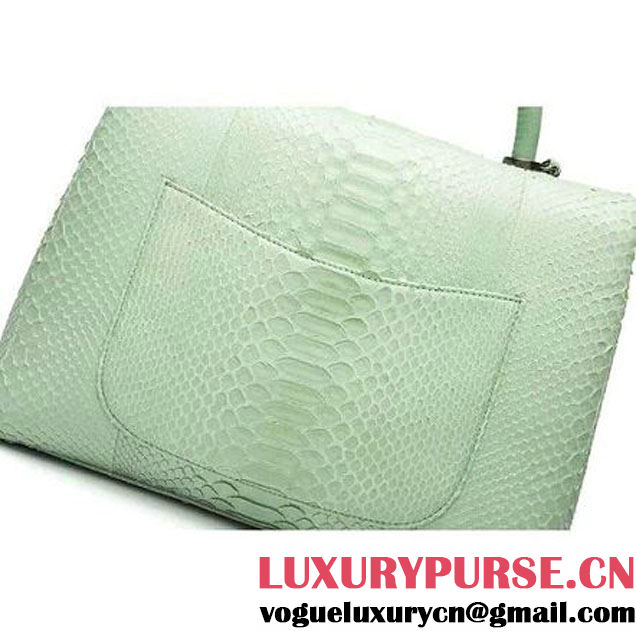 Chanel A93279 Python and Lambskin Flap Bag With Handle Light Green Pre-SS 2016 (XY-6041236 )