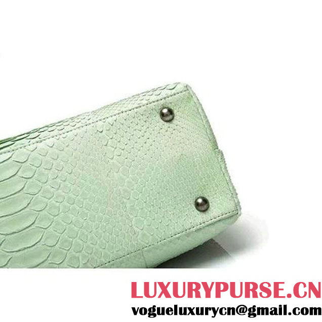 Chanel A93279 Python and Lambskin Flap Bag With Handle Light Green Pre-SS 2016 (XY-6041236 )