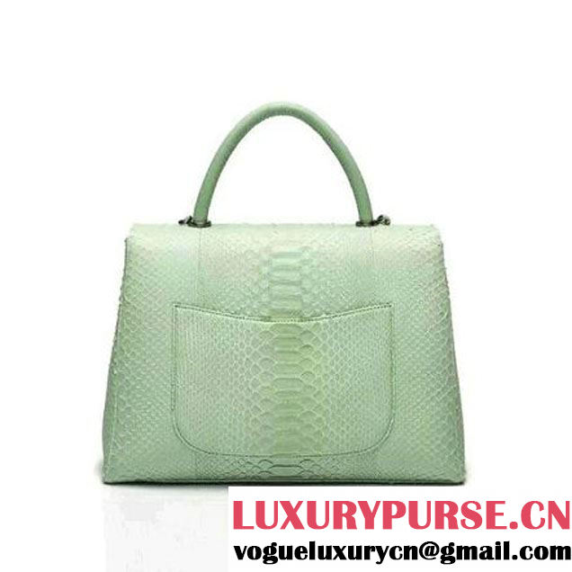 Chanel A93279 Python and Lambskin Flap Bag With Handle Light Green Pre-SS 2016 (XY-6041236 )