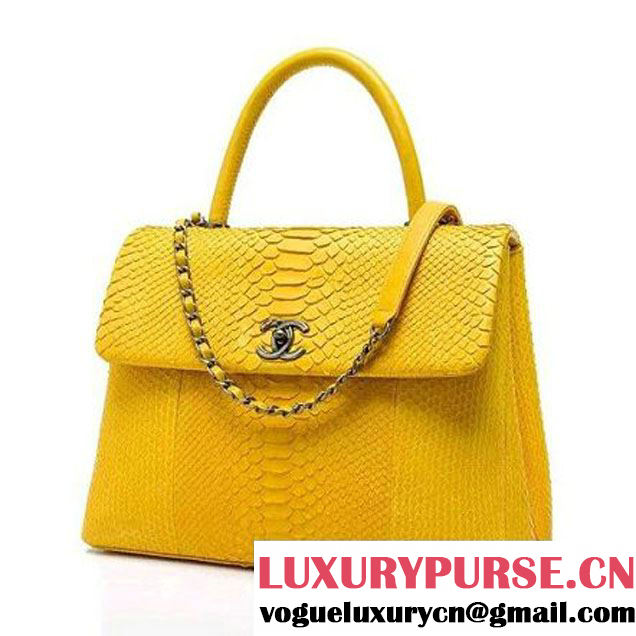 Chanel A93279 Python and Lambskin Flap Bag With Handle Ginger Pre-SS 2016 (XY-6041238 )