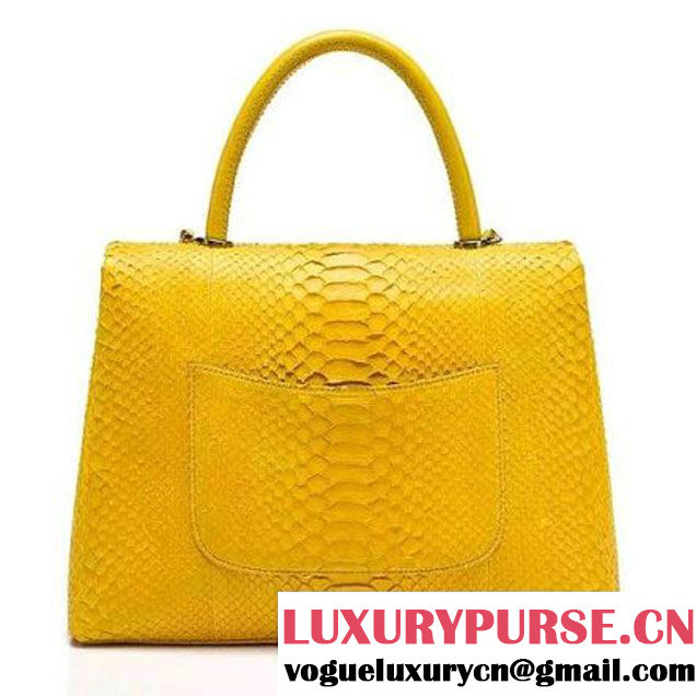 Chanel A93279 Python and Lambskin Flap Bag With Handle Ginger Pre-SS 2016 (XY-6041238 )