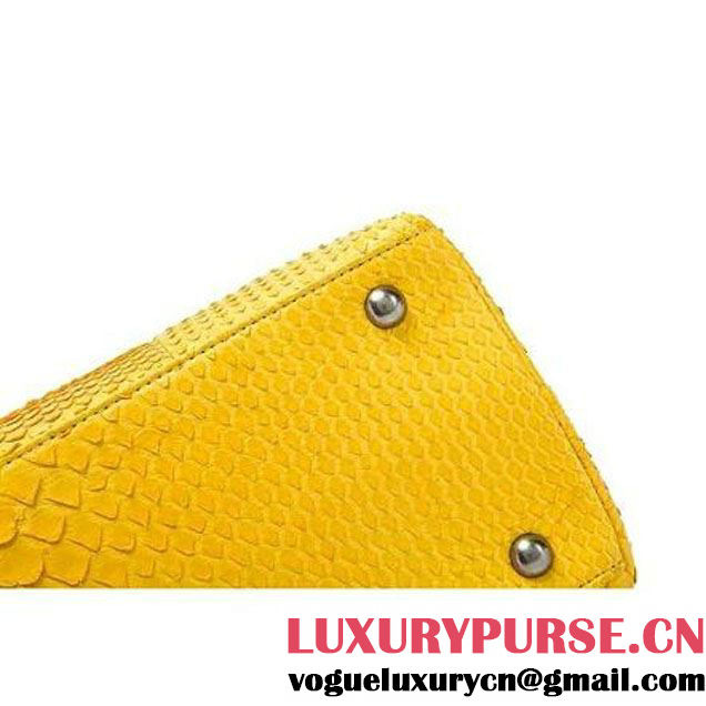 Chanel A93279 Python and Lambskin Flap Bag With Handle Ginger Pre-SS 2016 (XY-6041238 )